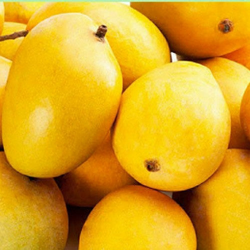 Mango (सफेदा आम)